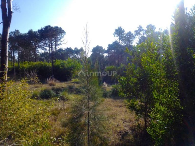 Lote en Venta en Pinamar, Buenos Aires Costa Atlantica