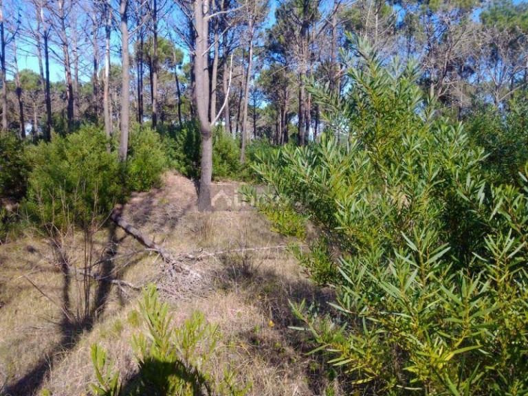 Lote en Venta en Pinamar, Buenos Aires Costa Atlantica