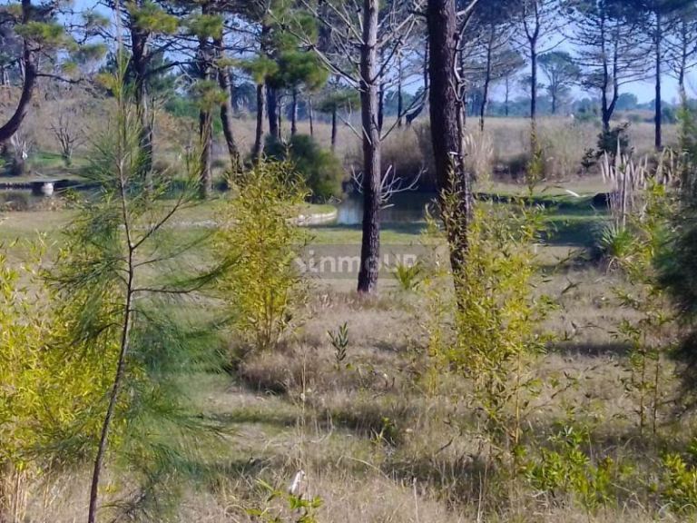 Lote en Venta en Pinamar, Buenos Aires Costa Atlantica