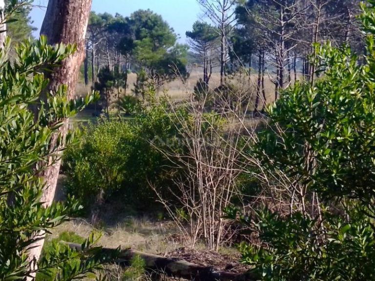 Lote en Venta en Pinamar, Buenos Aires Costa Atlantica