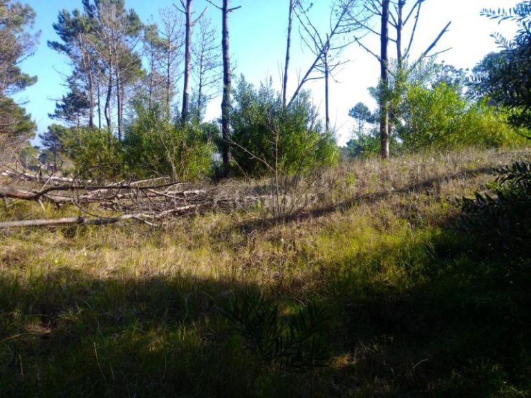 Lote en Venta en Pinamar, Buenos Aires Costa Atlantica