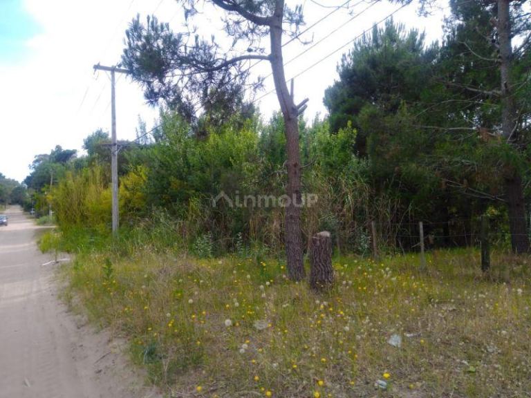 Lote en Venta en Pinamar, Buenos Aires Costa Atlantica