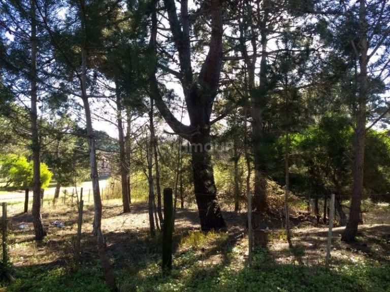 Lote en Venta en Pinamar, Buenos Aires Costa Atlantica