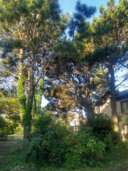 Lote en Venta en Pinamar, Buenos Aires Costa Atlantica