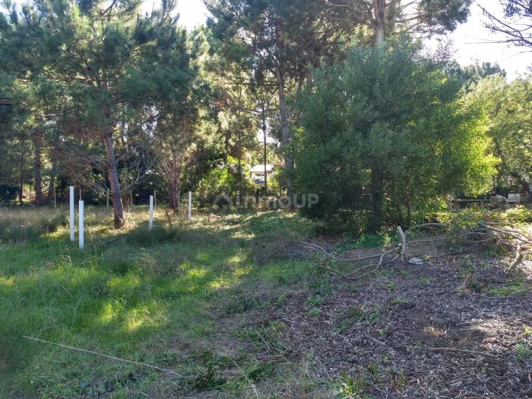 Lote en Venta en Pinamar, Buenos Aires Costa Atlantica