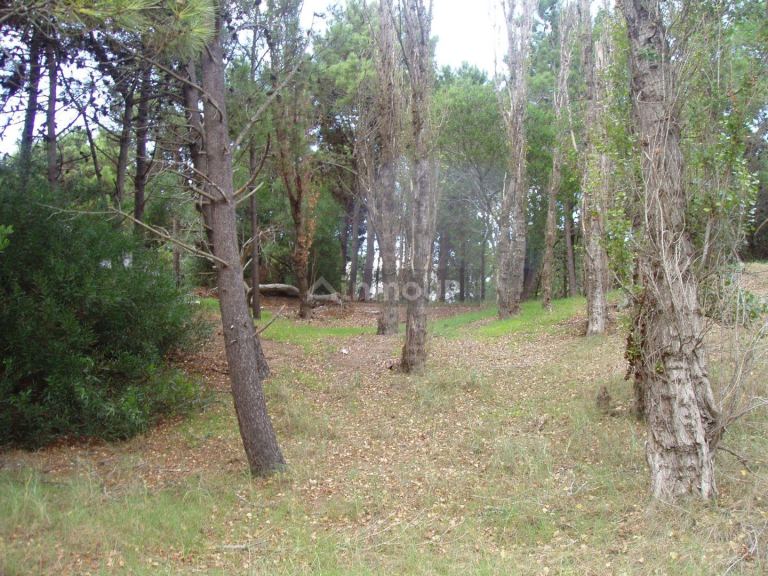 Lote en Venta en Pinamar, Buenos Aires Costa Atlantica