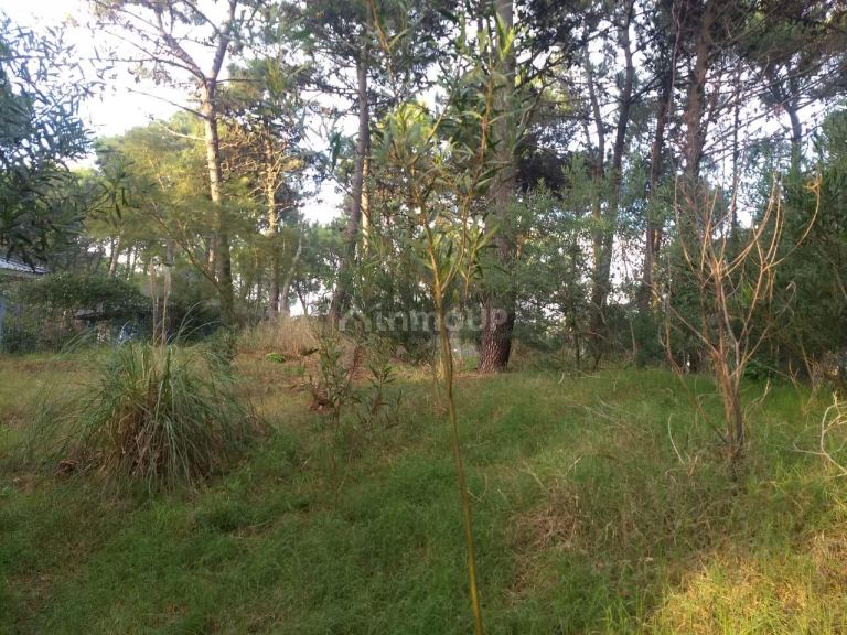 Lote en Venta en Pinamar, Buenos Aires Costa Atlantica