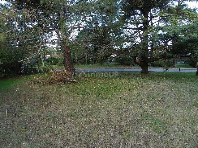 Lote en Venta en Pinamar, Buenos Aires Costa Atlantica