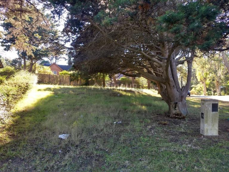 Lote en Venta en Pinamar, Buenos Aires Costa Atlantica