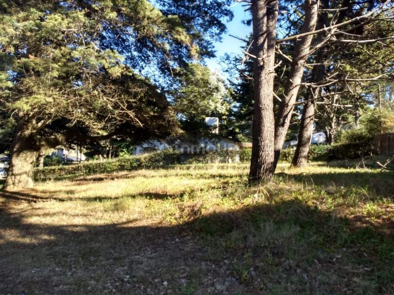 Lote en Venta en Pinamar, Buenos Aires Costa Atlantica