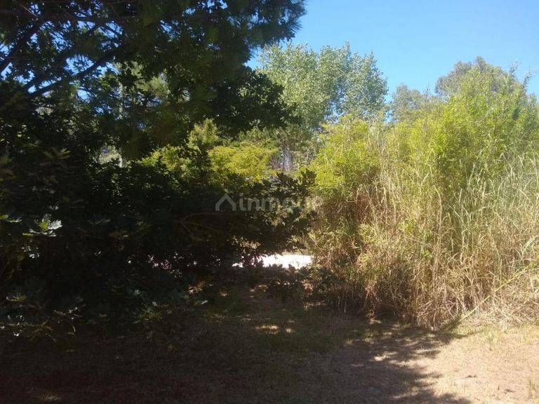 Lote en Venta en Pinamar, Buenos Aires Costa Atlantica