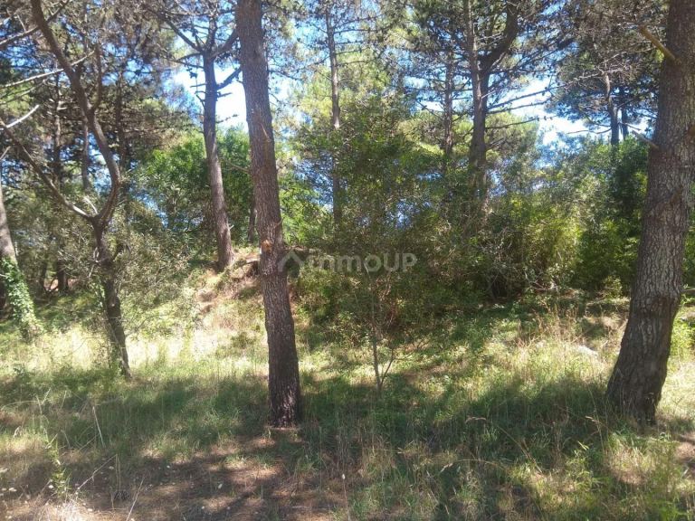 Lote en Venta en Pinamar, Buenos Aires Costa Atlantica