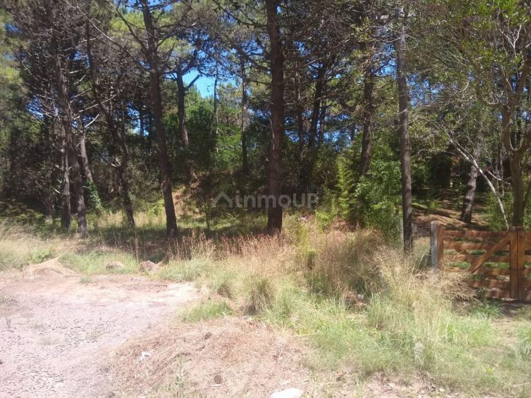 Lote en Venta en Pinamar, Buenos Aires Costa Atlantica