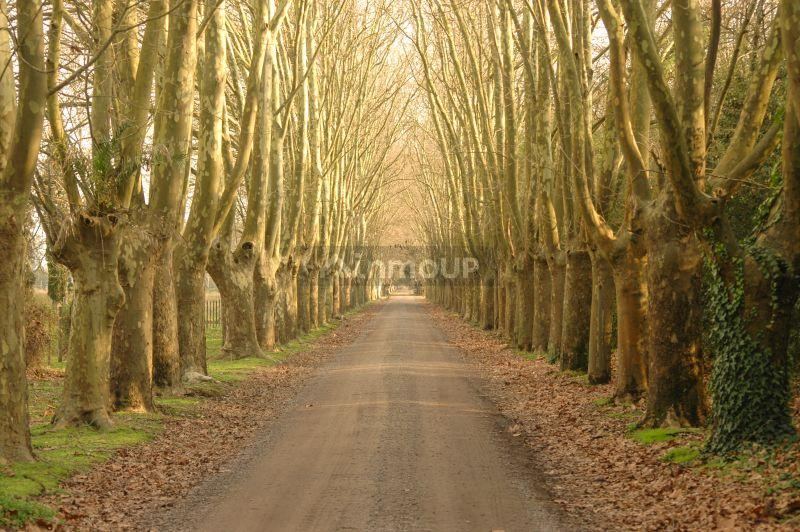 Campo en Venta en San Miguel del Monte, Buenos Aires Interior