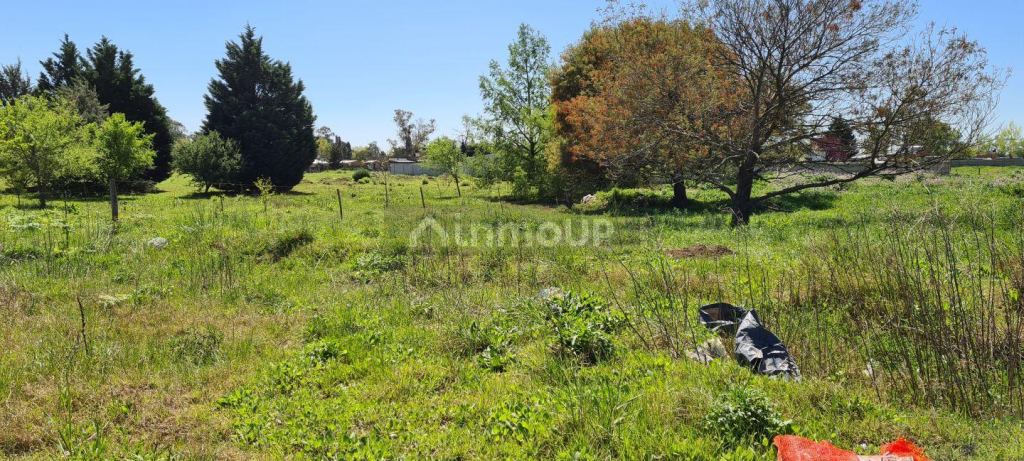 Lote en Venta en Trenque Lauquen, Buenos Aires Interior