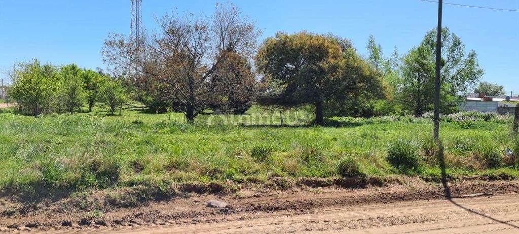 Lote en Venta en Trenque Lauquen, Buenos Aires Interior