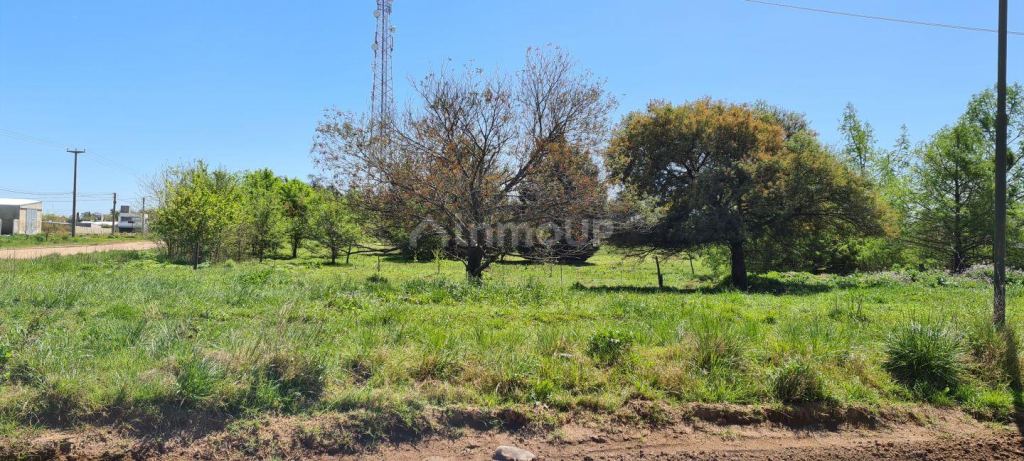 Lote en Venta en Trenque Lauquen, Buenos Aires Interior