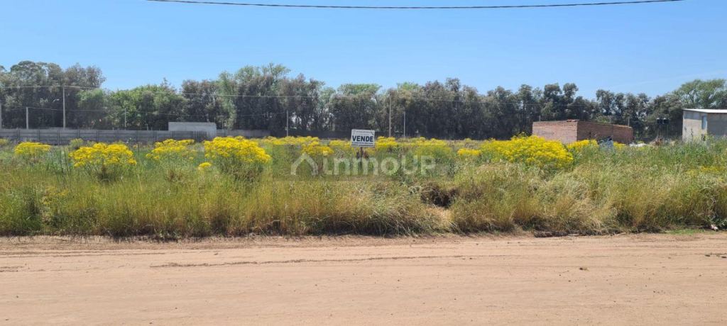 Lote en Venta en Trenque Lauquen, Buenos Aires Interior