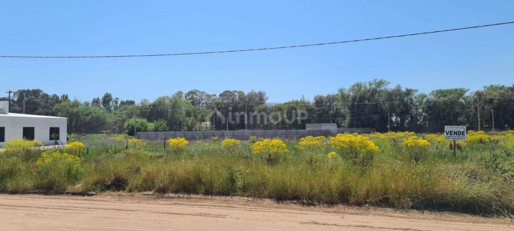Lote en Venta en Trenque Lauquen, Buenos Aires Interior