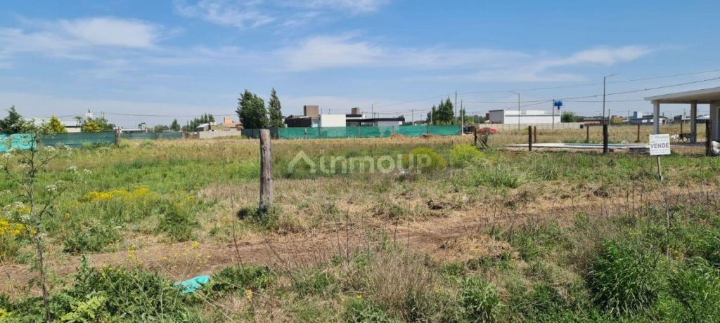 Lote en Venta en Trenque Lauquen, Buenos Aires Interior