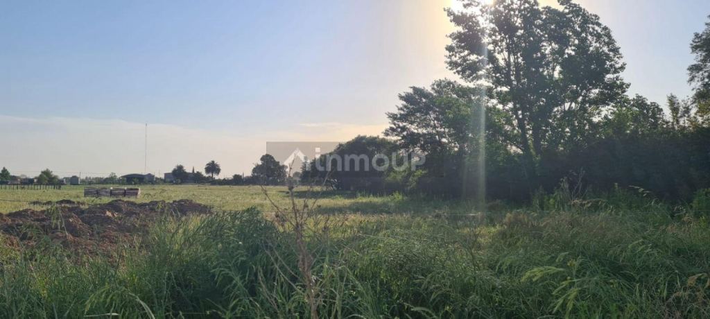 Lote en Venta en Trenque Lauquen, Buenos Aires Interior