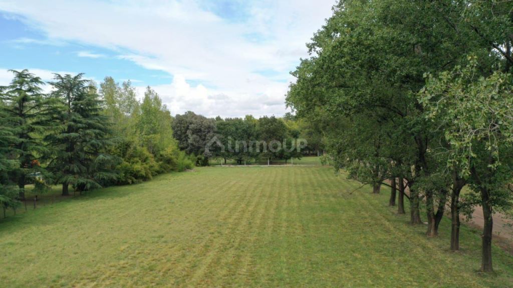 Lote en Venta en Trenque Lauquen, Buenos Aires Interior