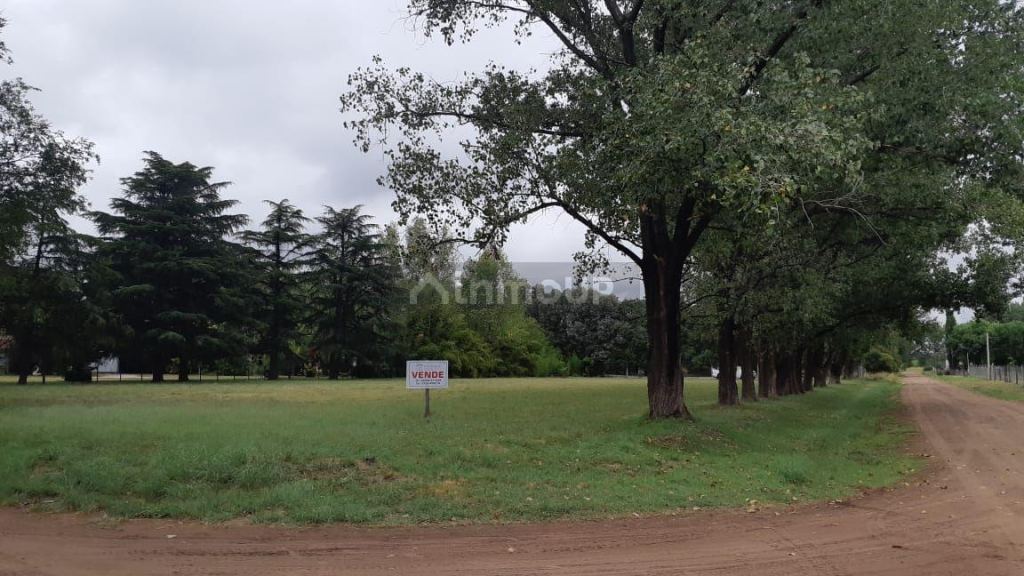 Lote en Venta en Trenque Lauquen, Buenos Aires Interior