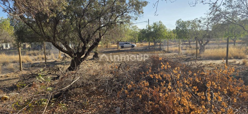 Lote en Venta en Maipu, Mendoza