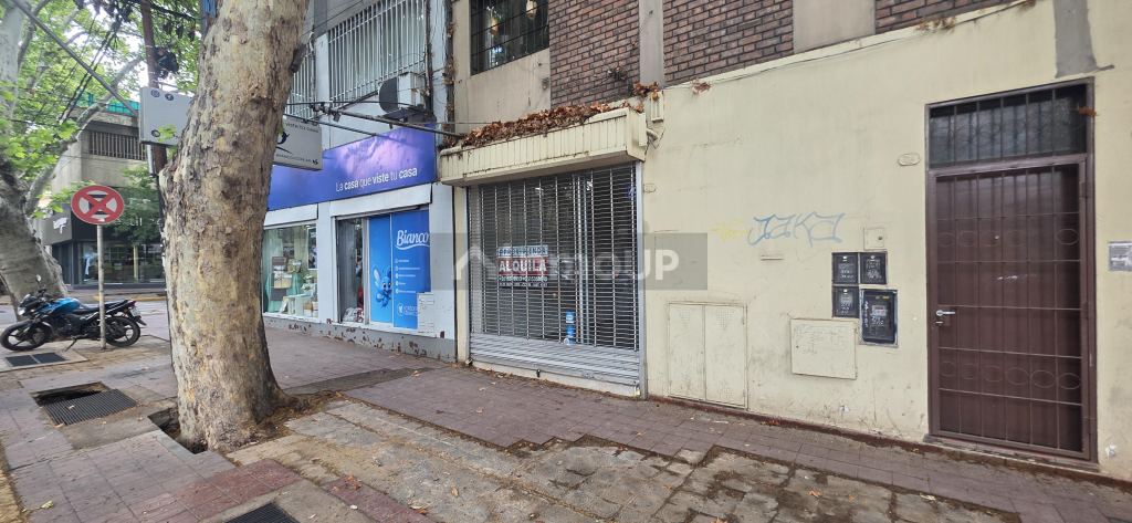 Local Comercial en Alquiler en Capital, Mendoza
