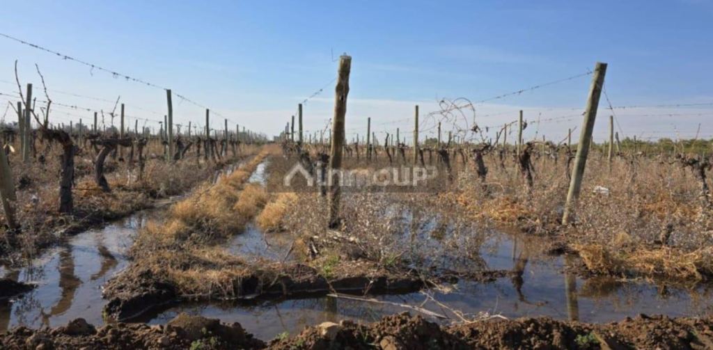 Finca en Venta en Las Heras, Mendoza