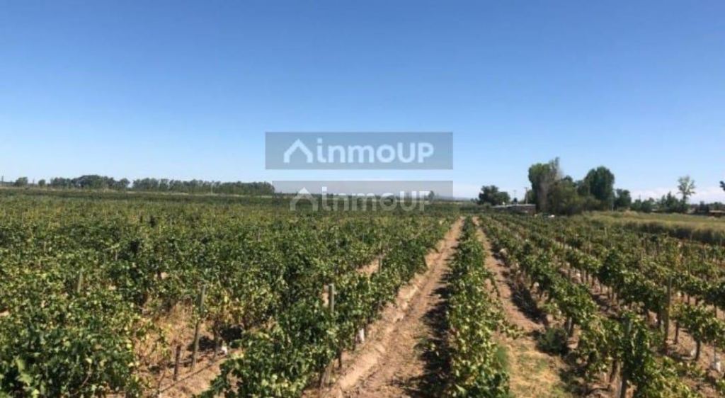 Finca en Venta en Las Heras, Mendoza
