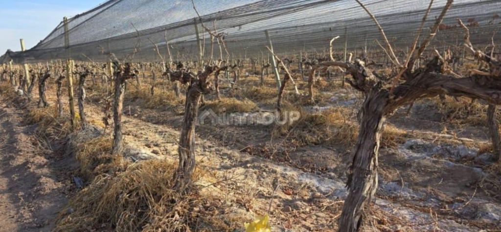Finca en Venta en Las Heras, Mendoza