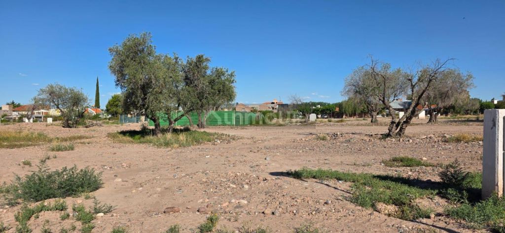 Lote en Venta en Maipu, Mendoza