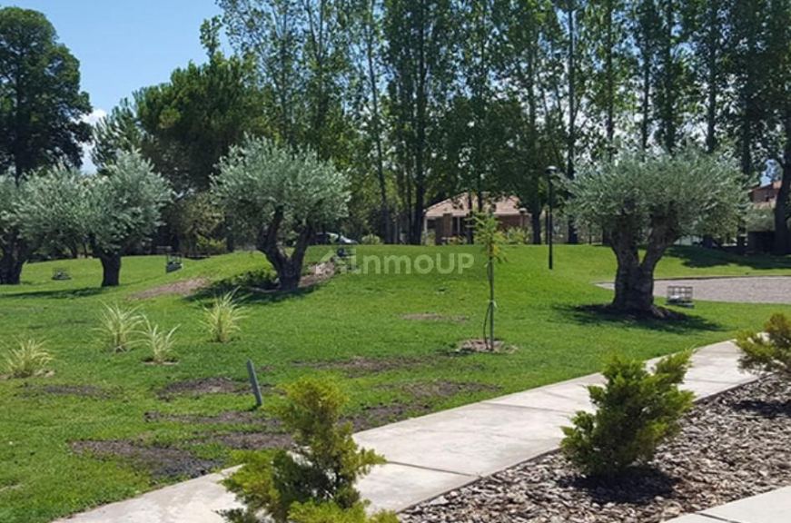 Lote en Venta en Lujan de Cuyo, Mendoza - USD 68.500 | Inmoup - 8