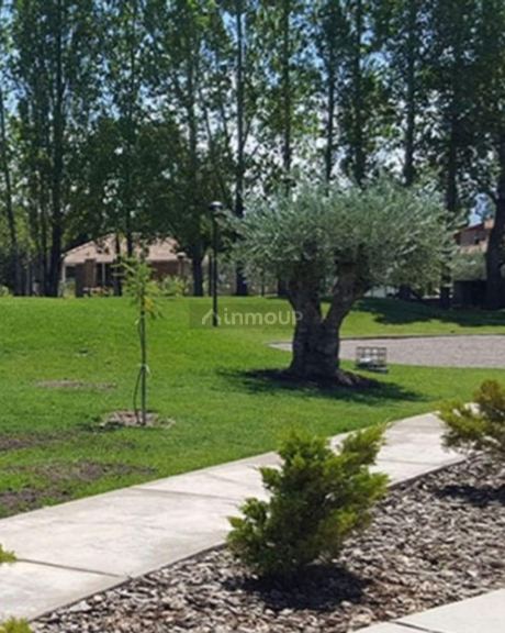 Lote en Venta en Lujan de Cuyo, Mendoza - USD 68.500 | Inmoup - 6