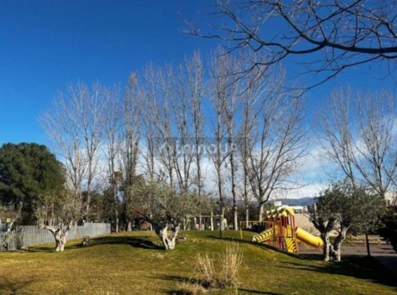 Lujan de Cuyo Boedo