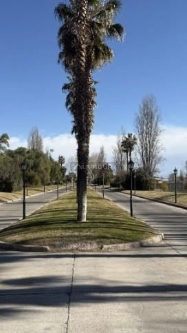 Lote en Venta en Lujan de Cuyo, Mendoza - USD 110.000 | Inmoup - 9