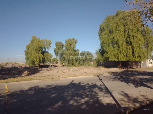 Lote en Venta en Maipu, Mendoza
