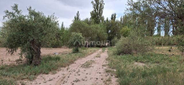 Finca en Venta en Maipu, Mendoza