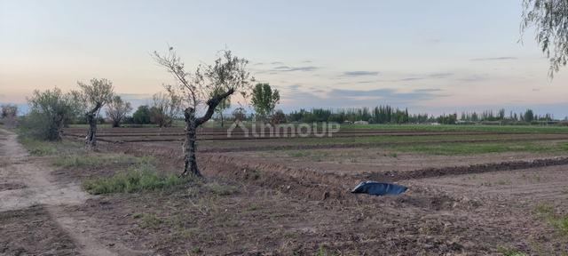 Finca en Venta en Maipu, Mendoza