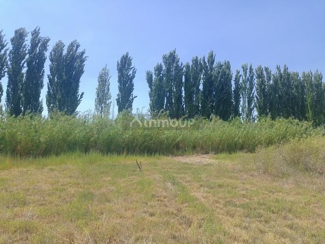 Finca en Venta en Maipu, Mendoza