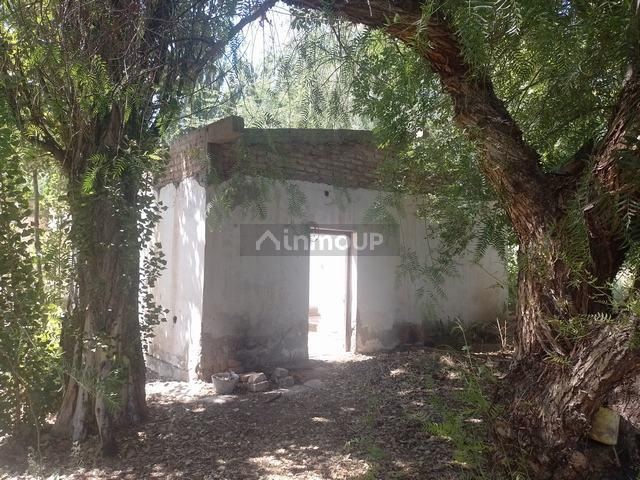 Finca en Venta en Maipu, Mendoza