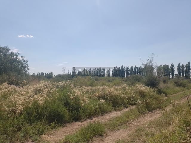 Finca en Venta en Maipu, Mendoza