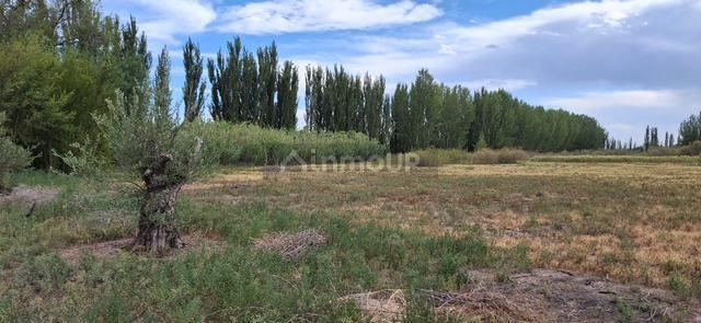 Finca en Venta en Maipu, Mendoza