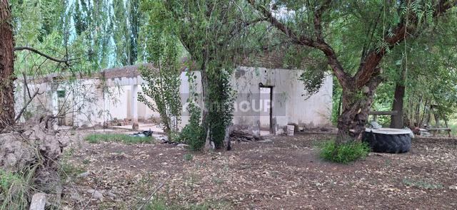 Finca en Venta en Maipu, Mendoza