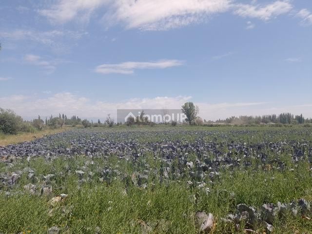 Finca en Venta en Maipu, Mendoza