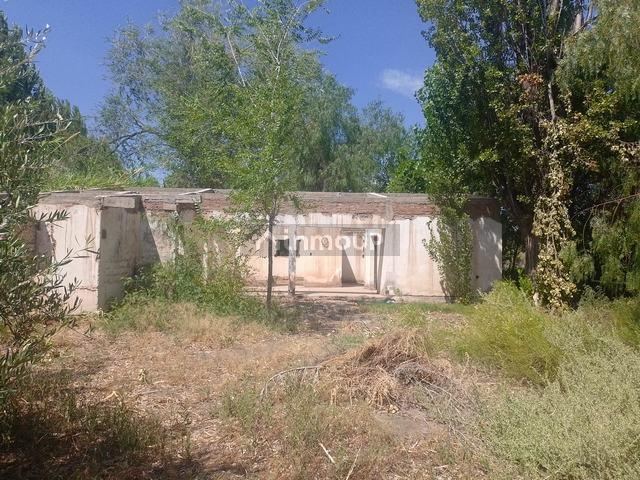 Finca en Venta en Maipu, Mendoza