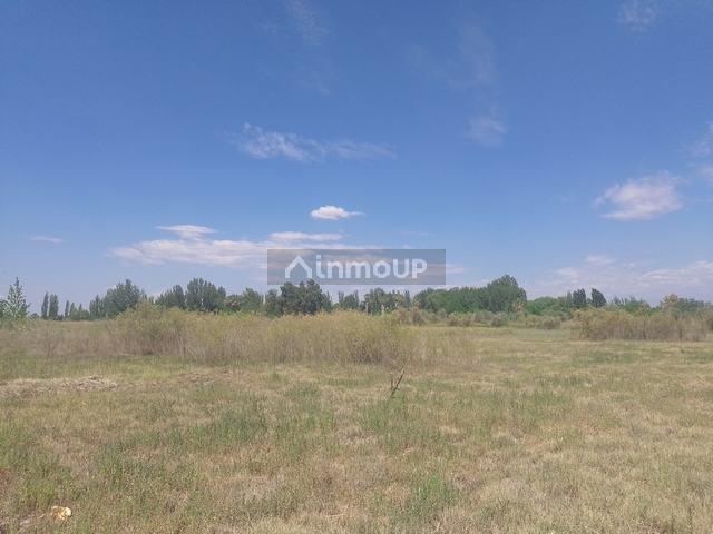 Finca en Venta en Maipu, Mendoza