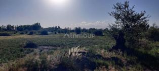 Maipu GRANJA DOBLE R
