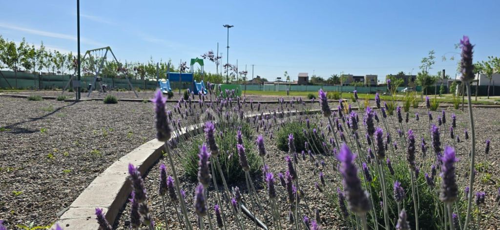 Lote en Venta en Maipu, Mendoza